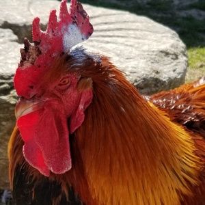 Meet your Posher, Kathleen